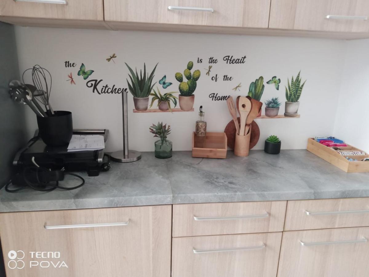 Grand Appartement Au Coeur De สตราสบูร์ก ภายนอก รูปภาพ